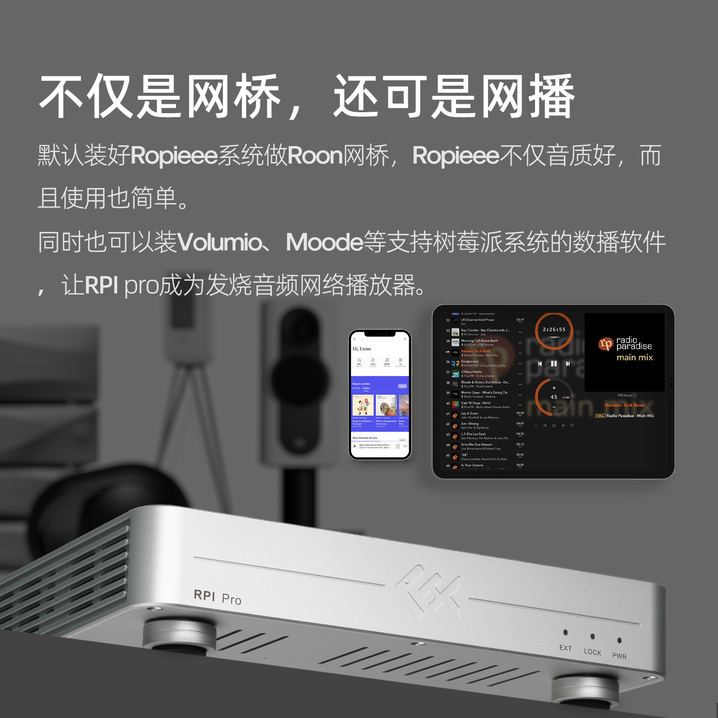 Tiger Fish Audio RPI Pro Strea - Music Audio Pro ulasan dan harga