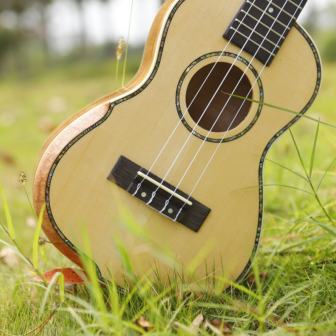 IRIN 23/26 Inch Ukulele Hawaii - Guitar Capo Clip ulasan dan harga